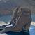 Women’s Size 5 Lace-Up Heeled Combat Boots – Clean & Stylish 2 thumbnail