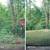 Land Clearing, Tree Services, Wild Fire Prevention, Road Maintenance! 19 thumbnail
