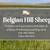 HAMPSHIRE/SUFFOLK YEARLING RAMS 16 thumbnail
