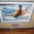 Daniel Smith - 4423 of 5460 1983 MN State Pheasant Stamp and Print 18. 2 thumbnail