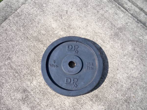 Standard Weight Plate – 13.2 Pounds – DP Company!! 1