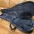 ESTEBAN SPECIAL EDITION ACOUSTIC/ELECTRIC GUITAR 13 thumbnail