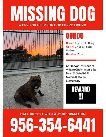 MISSING DOG64036268685569120