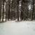 Mountain property with cabin 9 thumbnail