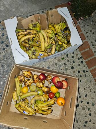 Ripe Bananas & fruit 1