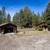 NEW PRICE! Rustic Log Home on 5 Acres with Outbuildings! 17 thumbnail