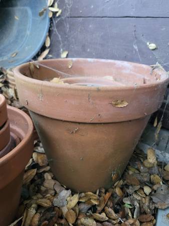 Clay Flower Pots 1
