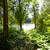 38 RANKIN BRIDGE ROAD South Bruce Peninsula, Ontario N0H2G0 21 thumbnail