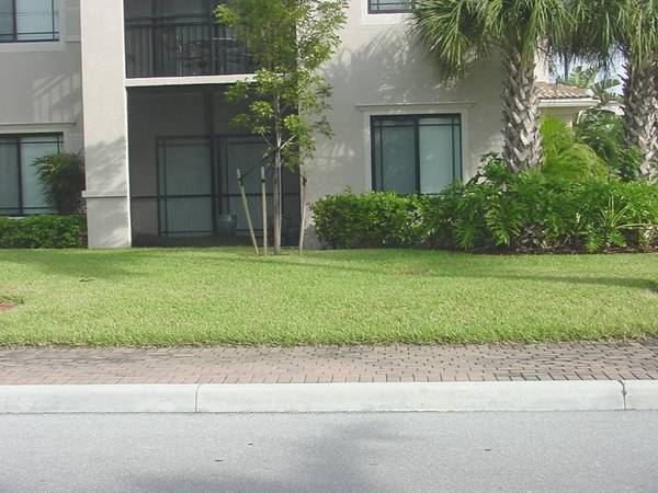 $2,500 / 2br - 1154ft2 - San Matera 2 bedroom, 2 full baths, 1st floor furnished condo annually (Palm Beach Gardens)64001848012417121