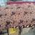 Dog Beds Drawer Liner Spray Paint Chicken Wire Coger Surplus 2 thumbnail