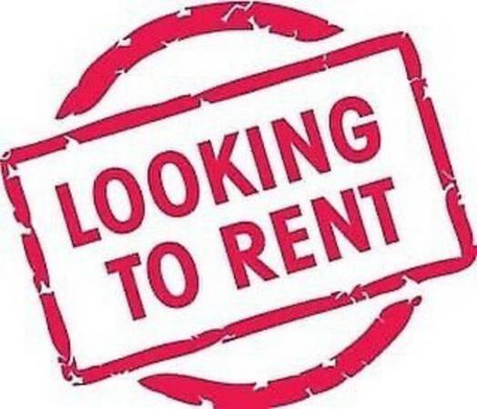 Looking to Rent ASAP (READ DISCRIPTION PLEASE) 1