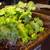 GARDEN CENTER, STARTS, SOILS, POTS, FERTILIZERS. Sale! 9 thumbnail