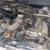 2003 Chevrolet Tracker   1450$ 6 thumbnail