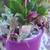 Gorgeous 1't Pot w/PURPLE Calla Lilly w/Multi-Plants and Bling 3 thumbnail