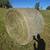 Tons of 4x5 Round Bales Forsale 1 thumbnail