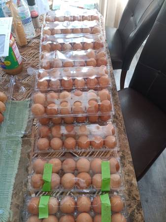Farm Fresh Eggs - $4 (Star)62969127730689123