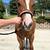 2 yr old registered paint filly. 4 thumbnail