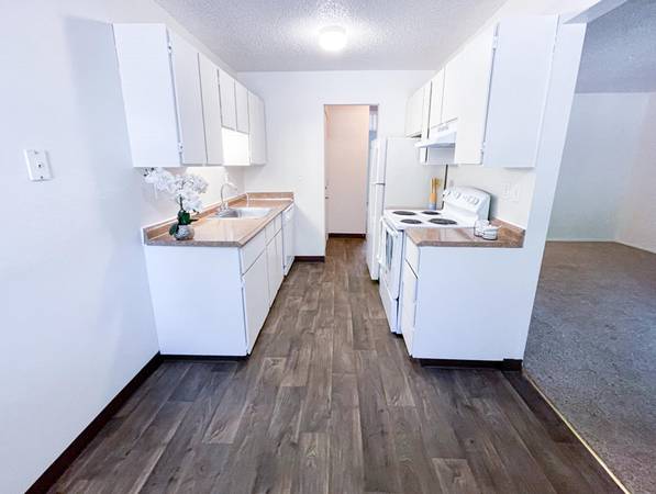 $1,215 / 1br - FREE MO. & SAVE $500 MORE! On-Site Laundry, Proximity to Freeway&Shops (Wilkes-East)63956354125698121
