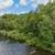 33+ Acres with River Frontage & Views! #782 8 thumbnail