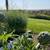 Avocado grove with a view on almost 5 Acres 4BR 2.5BA 10 thumbnail
