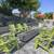 A 55+ Community. $500. off sign lease by 8/31/2025 8 thumbnail