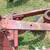 2 Bottom Plow 14" with coulters 12 thumbnail