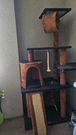 Multiple cat and dog items (East Village)63894602594434121