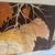 Beautiful oil painting Monster Size By Lee Reynolds Burr 8 thumbnail