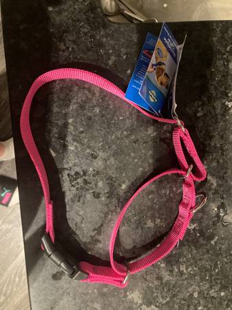 Pet safe collar (Cambridge)63892692229762120
