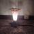 Flower light 2 thumbnail
