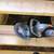 Black & Decker 16" hedge trimmer (electric) 4 thumbnail