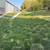 LANDSCAPING & SOD INSTALL🍃 2 thumbnail