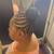 20+ years experience Certified Stylist in Hair Care and Braiding 20 thumbnail