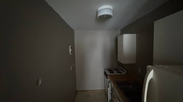 $600 / 2br - 700ft2 - 514 South Wall Street, Carbondale, IL (Carbondale)63688352203265122