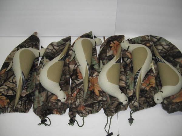 DECOYS, EURASIAN COLLARED DOVES 1