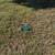 Cemetery Burial Spaces 11 thumbnail