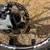 2024 Pivot Shuttle SL - XT Build with Carbon wheels - LARGE 6 thumbnail