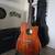 Alvarez MD66CE Masterworks Dreadnought Acoustic electric Guitar 2 thumbnail