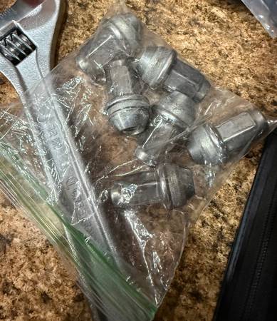 Ford F150 Raptor 10-14 OEM Tall Lug Nuts (5) Fits 09-25 F-150 1