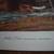 3 AUDUBON pix / pr - select from 3 - Meadow Lark; Mallard; Wild Turkey 5 thumbnail