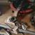 1964 Ford 260 engine and transmission. 5 thumbnail
