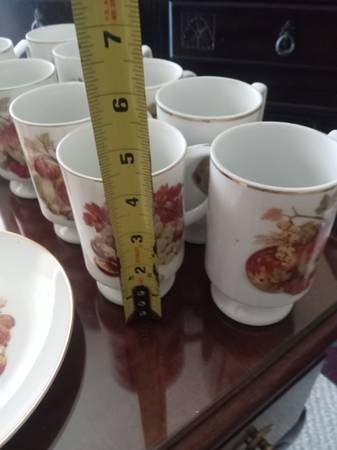 JUEGO DE TAZAS BÁVARAS VINTAGE Y PLATO DE POSTRE - $30 (brentwood / oakley)63471475383299121