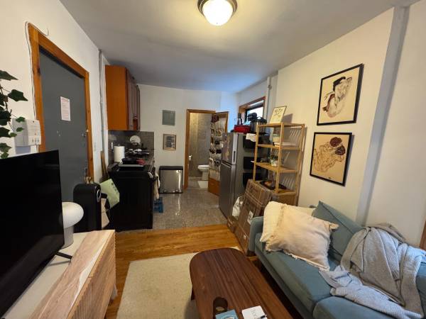 $3,095 / 1br - COZY 1 BR_EAST VILLAGE_NEAR NYU_NO  FEE_WILL RENT FAST (East Village)64033801019521121