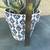 Blue chalk stick succulent in a pretty ceramic pot 5 thumbnail