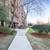 Lenox Road - 1 BED 1 BATH for Rent 1 thumbnail