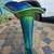 Tall Glass Vase 1 thumbnail