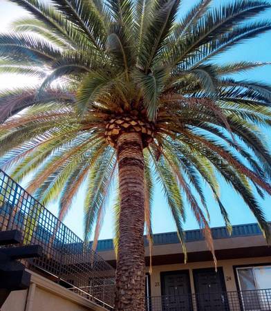 $1,995 / 1br - 🍁FALL SPECIALS!! FIRST MONTH FREE!!🍁 (San Diego)63998603678723123