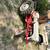 Restored Ford tractor 9 thumbnail