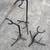 Guitar stands 1 thumbnail