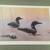 3pcs.---LEO STANS----GREAT WILDLIFE Heritage prints 3 DIFFERENT SCENES 3 thumbnail